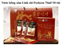 Nước Hồng sâm Linh chi Pocheon 70ml* 30túi